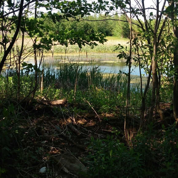 Meet your Posher, Elizabeth - Picture 13 of 15